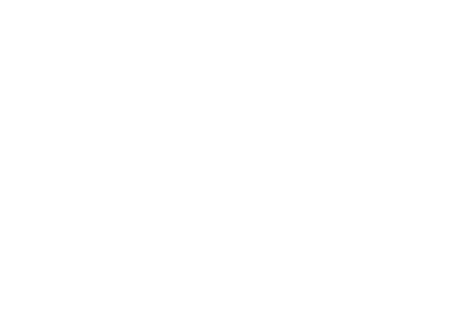 Valentin Săftoiu Logo